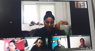 Reuniones técnicas por videoconferencia del CAVI Arica