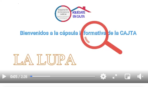 La LUPA, presenta a Loreto Puentes Terzán, Abogada Coordinadora del Programa Mi Abogado de la Región de Antofagasta