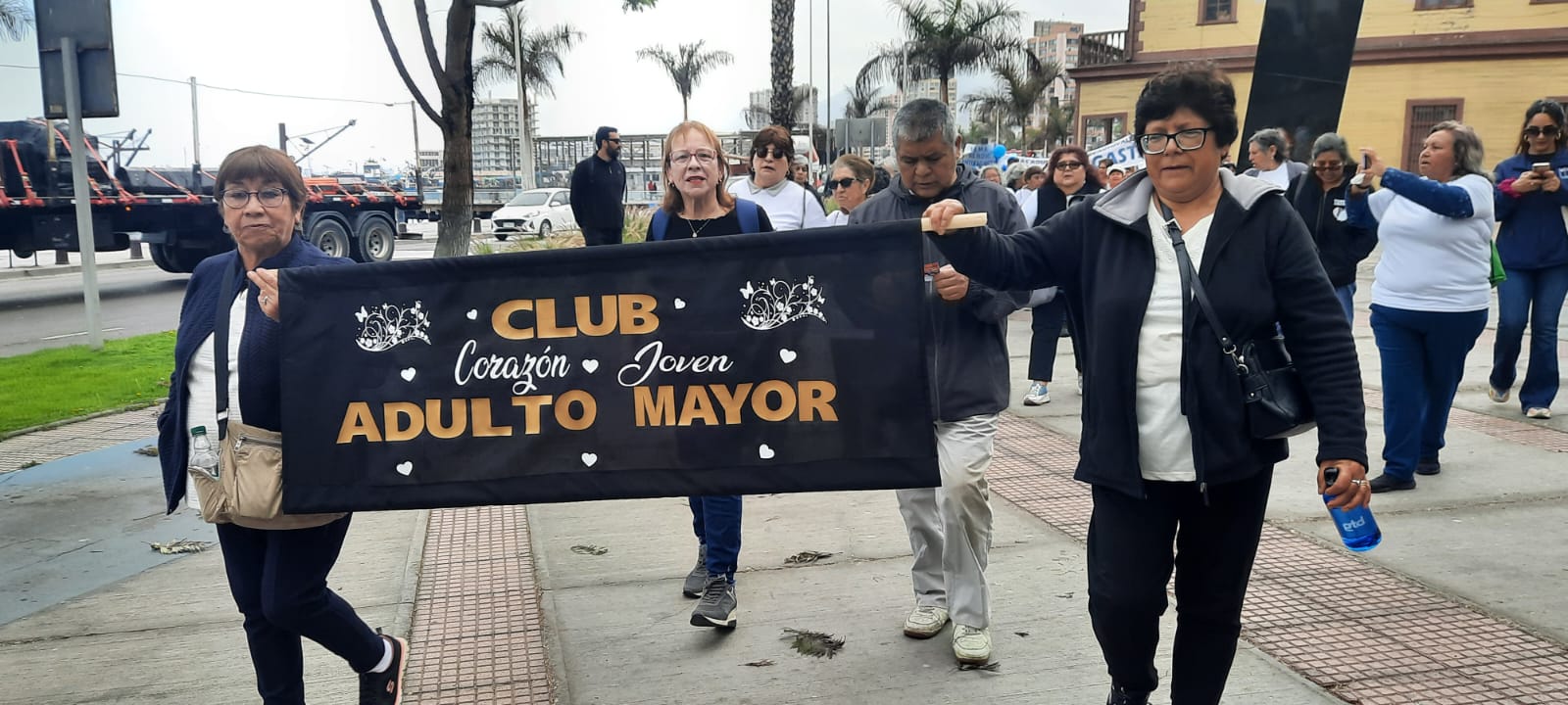 Participación de la ODAM en la Caminata Mayor 2024